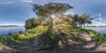 Full seamless spherical hdri panorama 360 degrees angle view near huge tree on banks of wide river with rays of sun through Royalty Free Stock Photo