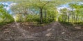 Full seamless spherical hdri panorama 360 degrees angle view on no traffic gravel road among tree alley in summer day in