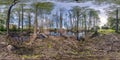 Full seamless spherical hdri panorama 360 degrees angle view among tall trees forest in water of swamp in equirectangular