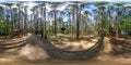 Full seamless spherical hdri panorama 360 degrees angle view in wooden camping arbors with all conviniences in a pine forest in