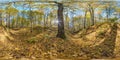 Full seamless spherical hdri 360 panorama in tree-covered ravine in autumn forest in sunny day in equirectangular spherical
