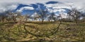 full seamless spherical hdri 360 panorama view in apple garden orchard with clumsy and gnarled branches in equirectangular