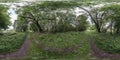 full seamless spherical hdri 360 panorama view on cycling and pedestrian walking path among the bushes of forest in