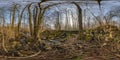 Full seamless spherical hdri 360 panorama view near concrete bridge with stones covered with green moss and forest near swamp in