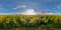 Full seamless spherical panorama 360 by 180 degrees angle view among blooming sunflowers fields in sunny summer evening in