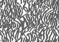 Seamless Tiger Zebra Pattern Texture Vector. Endless black white gray cheetah design for dress fabric print Royalty Free Stock Photo