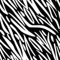 Full seamless zebra and tiger stripes animal skin pattern. Black and white texture design for textile fabric print Royalty Free Stock Photo