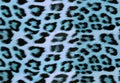 Seamless cheetah and leopard animal skin pattern vector. Design for soft blue and black cheetah colored textile fabric printing. Royalty Free Stock Photo