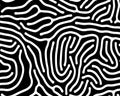 Full seamless wallpaper for zebra and tiger stripes animal skin pattern. Black and white design for textile fabric printing. Royalty Free Stock Photo