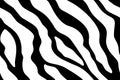 Seamless wallpaper for zebra and tiger stripes animal skin pattern. Black and white design for textile fabric printing. Royalty Free Stock Photo