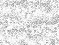 Seamless white leopard cheetah texture animal skin pattern. Ornamental design for women textile fabric printing Royalty Free Stock Photo