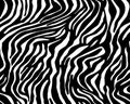 Full seamless zebra and tiger stripes animal skin pattern. Black and white design for textile fabric printing. Royalty Free Stock Photo