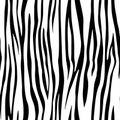 Full seamless zebra and tiger stripes animal skin pattern. Black and white texture design for textile fabric printing.