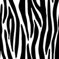 Full seamless zebra and tiger stripes animal skin pattern. Black and white texture design for textile fabric printing. Royalty Free Stock Photo