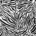 Full seamless zebra and tiger stripes animal skin pattern. Black and white texture design for textile fabric printing. Royalty Free Stock Photo