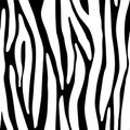 Full seamless zebra and tiger stripes animal skin pattern. Black and white texture design for textile fabric printing. Royalty Free Stock Photo
