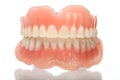 Full set of acrylic denture Royalty Free Stock Photo