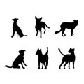 Full set dog silhouette image Royalty Free Stock Photo