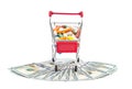Full shopping cart with pills on dollar bills on white background Royalty Free Stock Photo