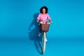 Full size photo of positive cheerful woman wear pink shirt driving bicycle with flowers in bucket isolated on blue color Royalty Free Stock Photo