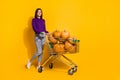 Full size photo of pretty positive girl pile stack pumpkin market trolley isolated on yellow color background