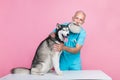 Full size photo of satisfied good mood doctor wear blue uniform pet husky sitting on table checkup isolated on pink