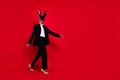 Full size photo of young pretty handsome man woman walk empty space wear bunny mask isolated over red color background Royalty Free Stock Photo