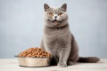 Full size portrait of happy British Shorthair cat with bowl of cat food isolated on white background