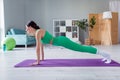 Full size profile photo of determined gorgeous girl plank stand fitness carpet morning workout house inside