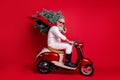 Full size profile side photo of cheerful pensioner on motorcycle carry fir tree travel hurry to christmastime wear