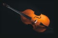 Double bass with no person isolated on black background Royalty Free Stock Photo