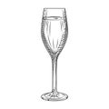 Full sparkling wine glass. Hand drawn champagne glass sketch Royalty Free Stock Photo