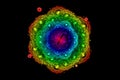 Full spectral colored rose, fractal illustration