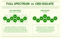 Full Spectrum vs CBD Isolate horizontal infographic Royalty Free Stock Photo