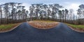 Full spherical hdri panorama 360 degrees angle view on asphalt pedestrian footpath and bicycle lane path in pinery forest in