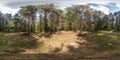 Full spherical hdri panorama 360 degrees angle view on gravel pedestrian footpath and bicycle lane path in pinery forest in sunny