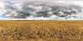 Full spherical seamless hdri panorama 360 degrees angle view among rye and wheat fields in summer evening sunset with awesome