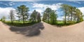 Full spherical seamless panorama 360 degrees angle view on no traffic asphalt road among alley of larch trees and fields with