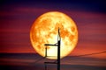 Full Sprouting Grass Moon back on silhouette power electric line and pole on night sky Royalty Free Stock Photo