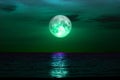 full sturgeon moon silhouette wooden Japanese pillar night sky