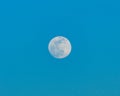 A full super moon in a clear blue sky. Royalty Free Stock Photo