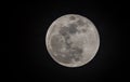 Full Super Moon Royalty Free Stock Photo