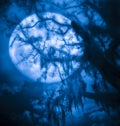 Werewolf Full Moon Tree