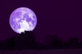 full Thunder moon on night sky back over silhouette forest Royalty Free Stock Photo