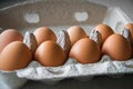 Full tray with chicken eggs. Eggs cardboard container. Close-up. Selective focus Royalty Free Stock Photo