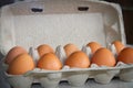 Full tray with chicken eggs. Eggs cardboard container. Close-up. Selective focus Royalty Free Stock Photo