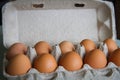 Full tray with chicken eggs. Eggs cardboard container. Close-up. Selective focus Royalty Free Stock Photo