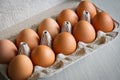 Full tray with chicken eggs. Eggs cardboard container. Close-up. Selective focus Royalty Free Stock Photo