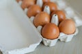 Full tray with clean chicken eggs Royalty Free Stock Photo