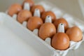 Full tray with clean chicken eggs Royalty Free Stock Photo